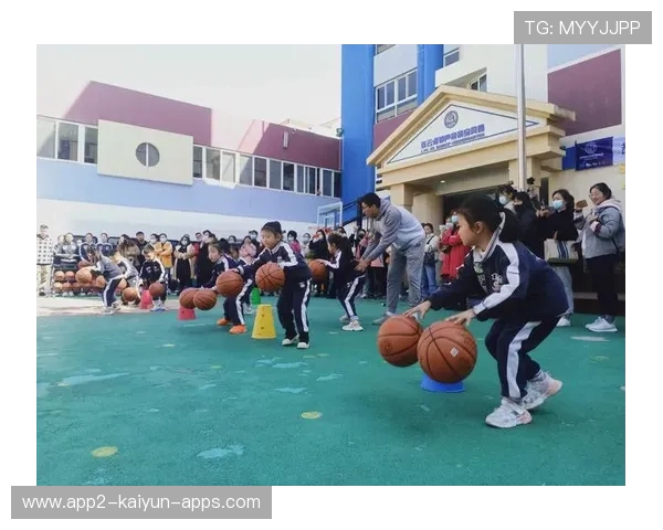 篮球在中国乡村学校营养干预计划中的辅助角色研究,校园篮球发展现状的调查与分析